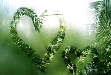 CBA争四大战！今晚山东PK辽宁，北京PK天津，新疆PK北控.